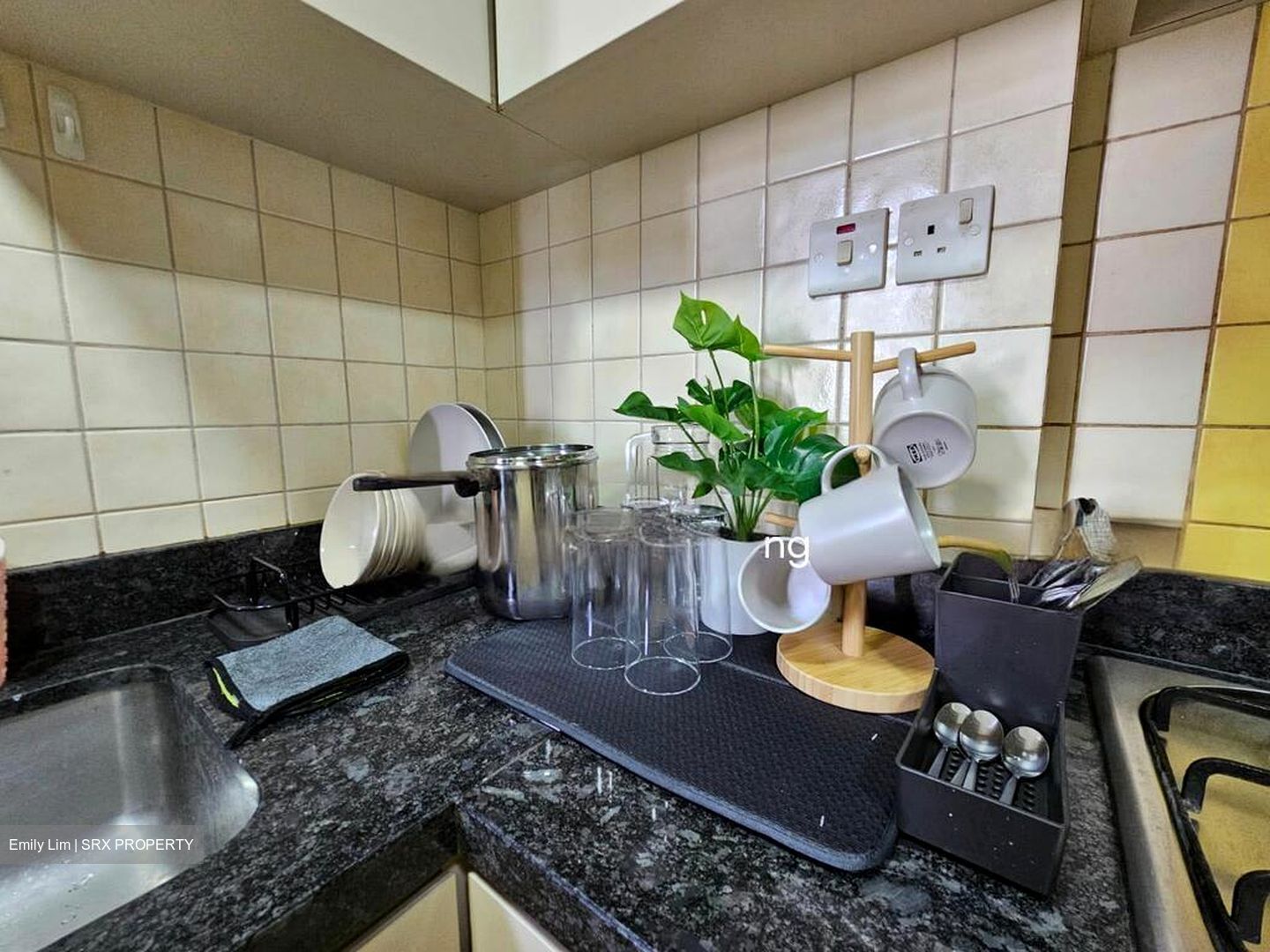 Compass Heights (D19), Apartment #593685941